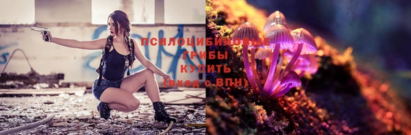 ГАЛЛЮЦИНОГЕННЫЕ ГРИБЫ Заволжье