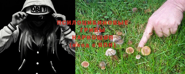 ALPHA PVP Заводоуковск