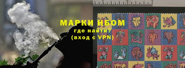 ГАЛЛЮЦИНОГЕННЫЕ ГРИБЫ Заволжье