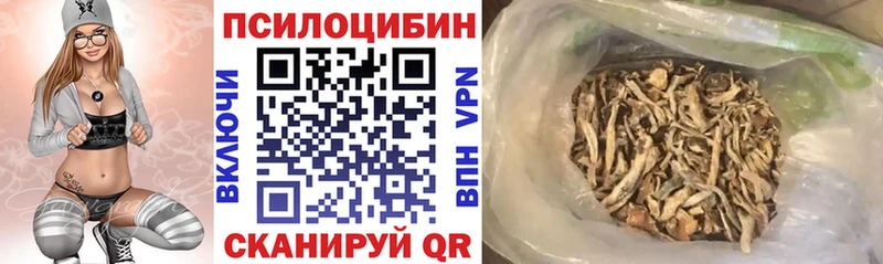 сколько стоит  Киров  Псилоцибиновые грибы GOLDEN TEACHER 